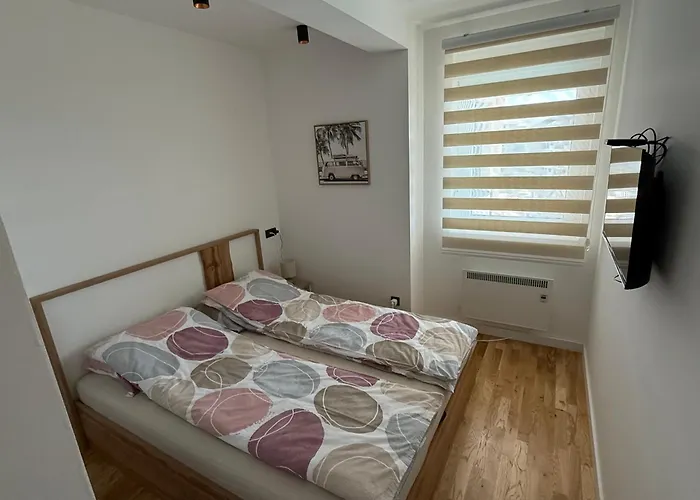 Stankovic * 兹拉蒂博尔